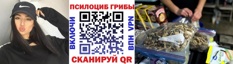 Псилоцибиновые грибы мицелий  Переславль-Залесский 